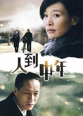 人到中年2009(全集)